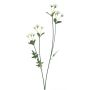 Rama artificial de margaritas KASANI, color crema, 60 cm