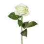 Flor artificial rosa ETAVOL, verde claro-blanco, 55cm, Ø8,5cm