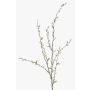 Rama falsa de sauce blanco WALDEMAR, floración, marrón, 120cm