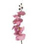Rama artificial de orquídea Phalaenopsis LANUA, rosa, 70 cm, Ø 8,5-12 cm
