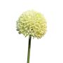 Flor artificial de Allium BAILIN, verde crema, 45 cm, Ø 6,5 cm