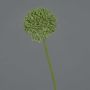 Flor artificial Allium BAILIN, verde, 45 cm, Ø 6,5 cm