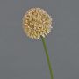 Flor artificial Allium BAILIN, rosa-crema, 45 cm, Ø 6,5 cm