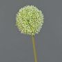 Flor artificial de Allium BAILIN, verde crema, 65 cm, Ø 10 cm