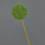 Flor artificial de allium BAILIN, verde, 65 cm, Ø 10 cm