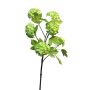 Rama decorativa de bola de nieve WEIWAN, verde claro, 60 cm