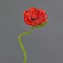 Flor decorativa de amapola ANKANG, roja, 70 cm, Ø 9,5 cm