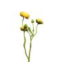 Rama decorativa de ranúnculos JIXIANG, amarilla, 50cm