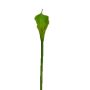 Flor decorativa Zantedeschia DOU, verde, 70 cm