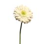 Flor artificial Gerbera QIUDONG, color crema, 50 cm, Ø 12 cm