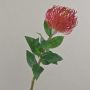 Flor artificial «Protea» XIFANG para alfiletero, roja, 75 cm, Ø 10 cm