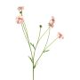 Rama artificial de centáurea TAOTAO, rosa-rosa, 65 cm, Ø 4-5 cm