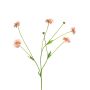Rama artificial de centáurea TAOTAO, rosa, 65 cm, Ø 4-5 cm