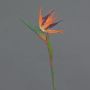 Flor artificial Strelitzia WEIYU, naranja-violeta, 60 cm, 10 x 13 cm