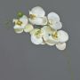 Rama decorativa de orquídea Phalaenopsis SONGYA, blanco-verde, 50 cm, Ø 6-7 cm