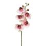 Rama decorativa de orquídea Phalaenopsis SONGYA, rosa-crema, 50 cm, Ø 6-7 cm