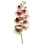 Rama decorativa de orquídea Phalaenopsis SONGYA, rosa-crema, 75 cm