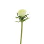 Flor decorativa anémona BOYANG, verde claro, 35cm, Ø6cm