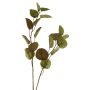 Rama de eucalipto artificial AOSHAN, marrón y verde, 80 cm