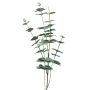 Rama decorativa de eucalipto FENYU, verde y blanco, 90 cm