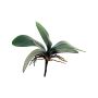 Hojas decorativas de orquídea Phalaenopsis XIAOQIN con raíces aéreas, 25 cm