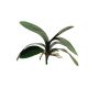 Hojas decorativas de orquídea Phalaenopsis XIAOQIN con raíces aéreas, 30 cm