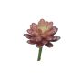 Sedum rubrotinctum artificial AOLUO con varilla de soporte, rojo burdeos, 16 cm