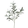 Rama decorativa de olivo WANLI con frutos, 75 cm