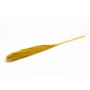 Ramo de junco seco DONJETA, color curry, 115-120 cm, Ø 15 cm