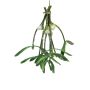 Ramo de muérdago de bayas blancas de plástico NUORAN, congelado, frutos, verde, 15 cm