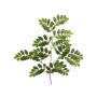 Rama de robinia de plástico WENLIN, verde, 70 cm