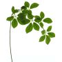 Rama artificial de manzano SHUYI, verde, 85 cm