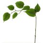 Rama artificial de cornejo SHUNNAN, verde, 75 cm