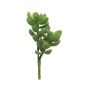 Suculenta artificial «árbol del dinero» MUNING, con soporte, verde, 14 cm