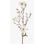 Magnolia de plástico LILO, crema, 75cm, Ø5-9cm