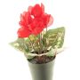 Flor artificial de ciclamen XIAOGUO en maceta decorativa, roja, 25 cm