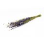 Ramo de flores secas de espuela de caballero AITHANA, azul verdoso, 70 cm, Ø 18 cm
