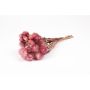 Ramo seco de flores de paja BIBIANA, color erica, 30-40 cm, Ø 15 cm