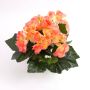 Begonia sintética IVANA con palo, salmón, 20cm, Ø3-5cm