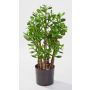 Árbol de jde artificial TIDO, tronco natural, verde, 60cm, Ø30cm