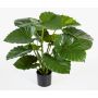 Colocasia de plástico SALONI, verde, 75cm