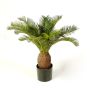 Palmera falsa cica MATTHEW, 65cm