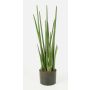 Sansevieria Cylindrica artificial MERVE, verde, 100cm