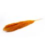Hierba de la pampa seca ANIAMI, naranja, 130-140 cm, Ø 20 cm