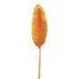 Hoja de plástico de estrelitzia YISHAO, naranja-rosa, 90 cm