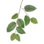 Rama de manzano artificial KONSTANTIN, verde, 75 cm