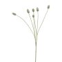 Rama decorativa de cardo SUANYI, verde, 65 cm