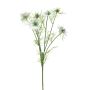 Rama decorativa de comino negro TIANKE, color crema, 65 cm, Ø 7-8 cm