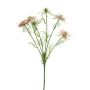 Rama decorativa de comino negro TIANKE, rosa-crema, 65 cm, Ø 7-8 cm