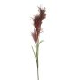 Rama decorativa de hierba de la pampa LINEN con espigas, rojo burdeos, 145 cm